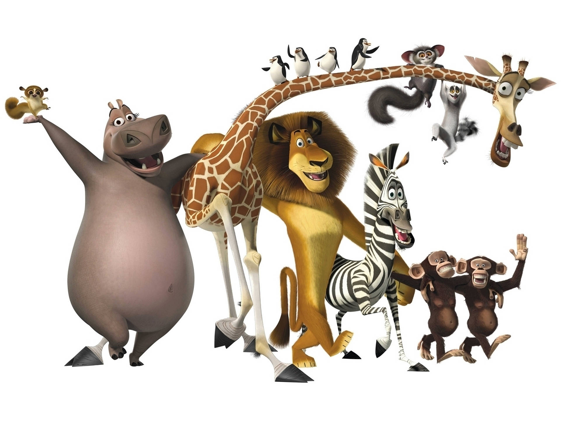 Madagaskardjur Wallpaper