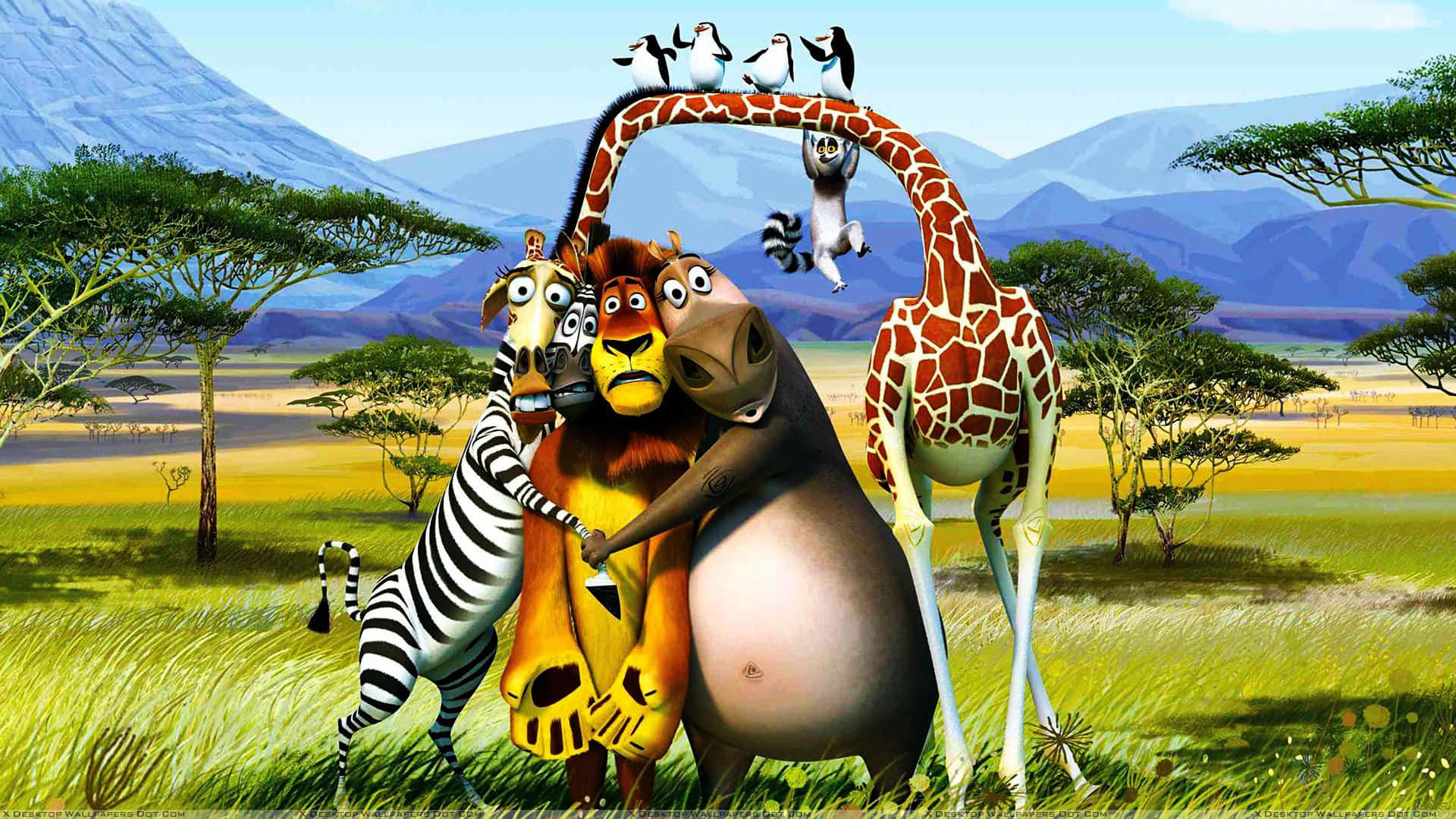 Madagascar Characters African Savannah Wallpaper