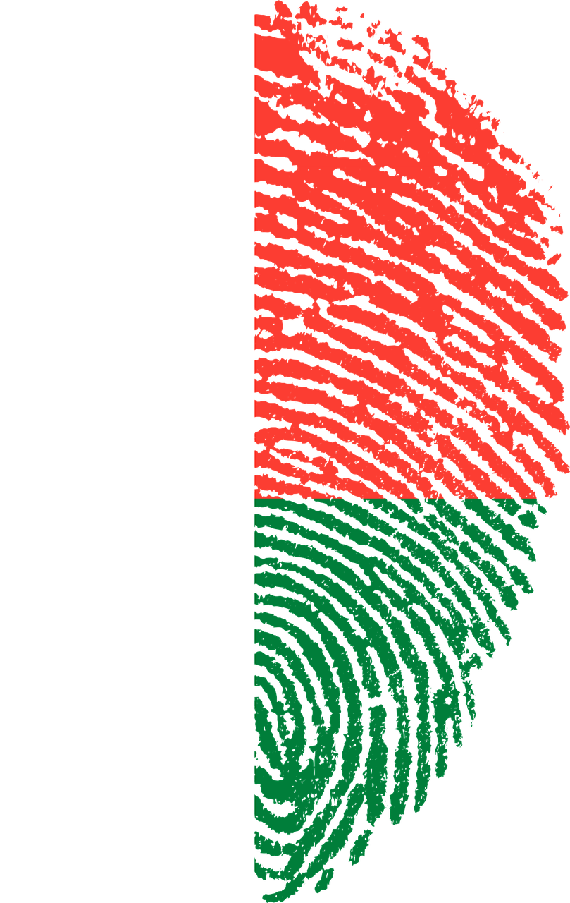 Madagascar Flag Fingerprint PNG