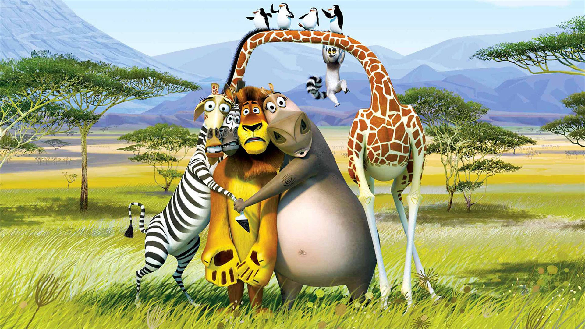 Madagaskarumarmende Charaktere Wallpaper