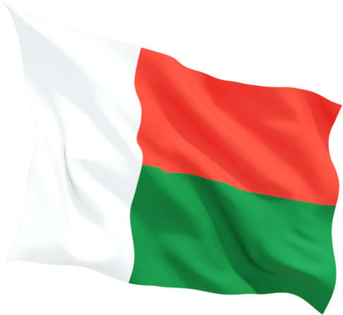 Madagascar National Flag Waving PNG