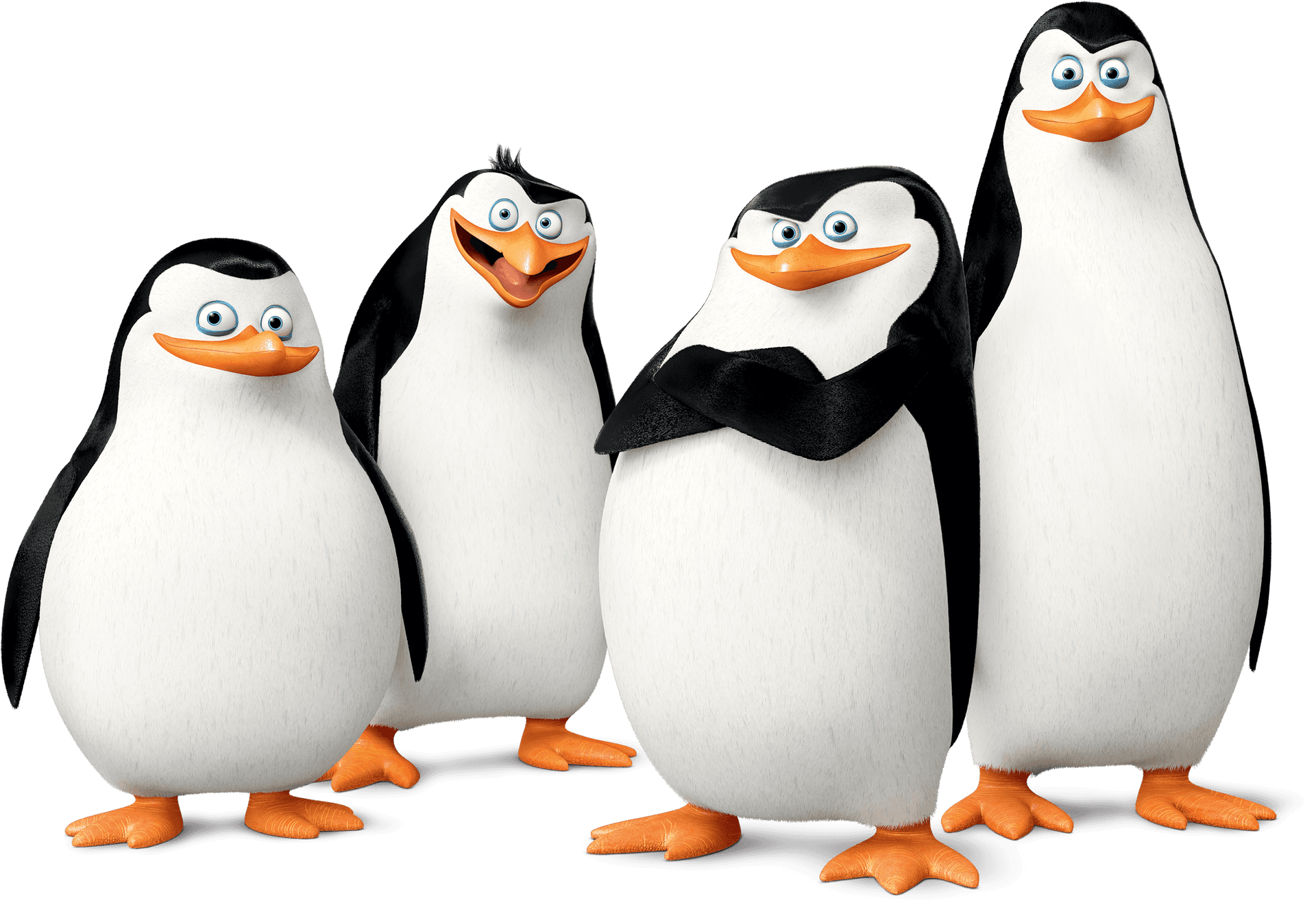 Madagascar Penguins Group Pose PNG