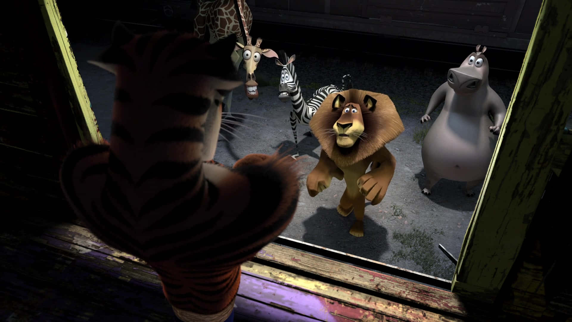 Madagascar3_ Animated Characters In Shadow Wallpaper