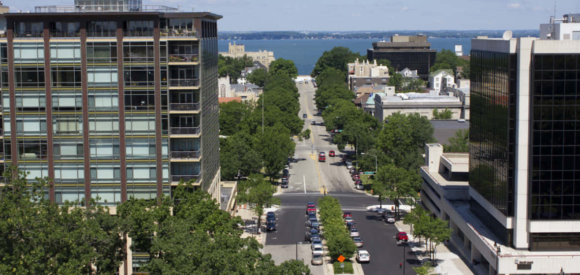 Madison Downtown Street View Wallpaper