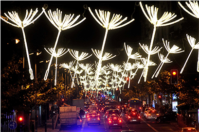 Madrid Christmas Lights Dandelion Design PNG