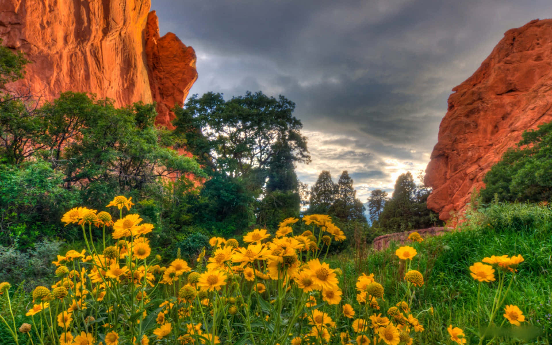 Maestosemontagne Rocciose Del Colorado