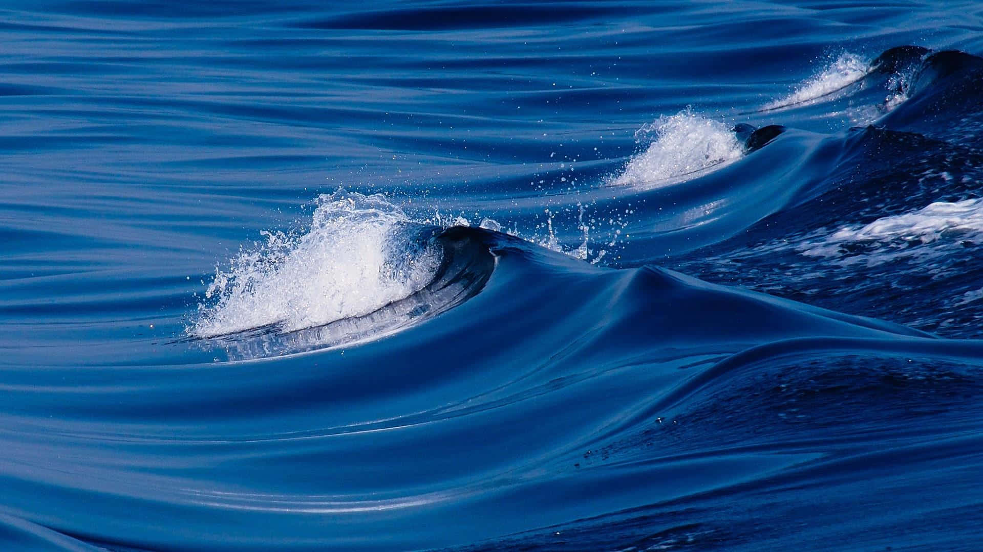 Maestoseonde Oceaniche Che Si Immergono Sulla Riva.