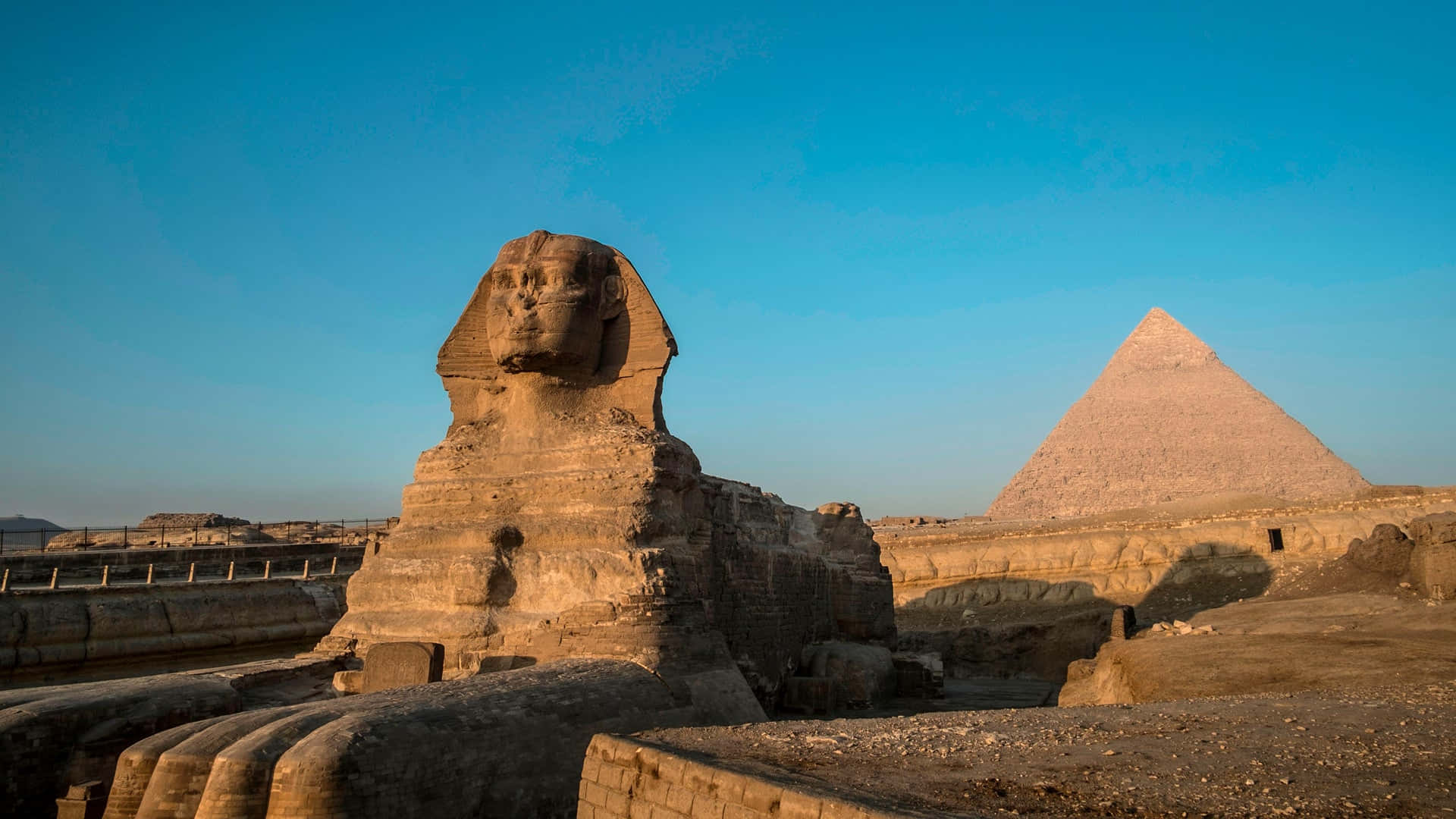Maestosepiramidi Di Giza Sotto Il Sole Dorato