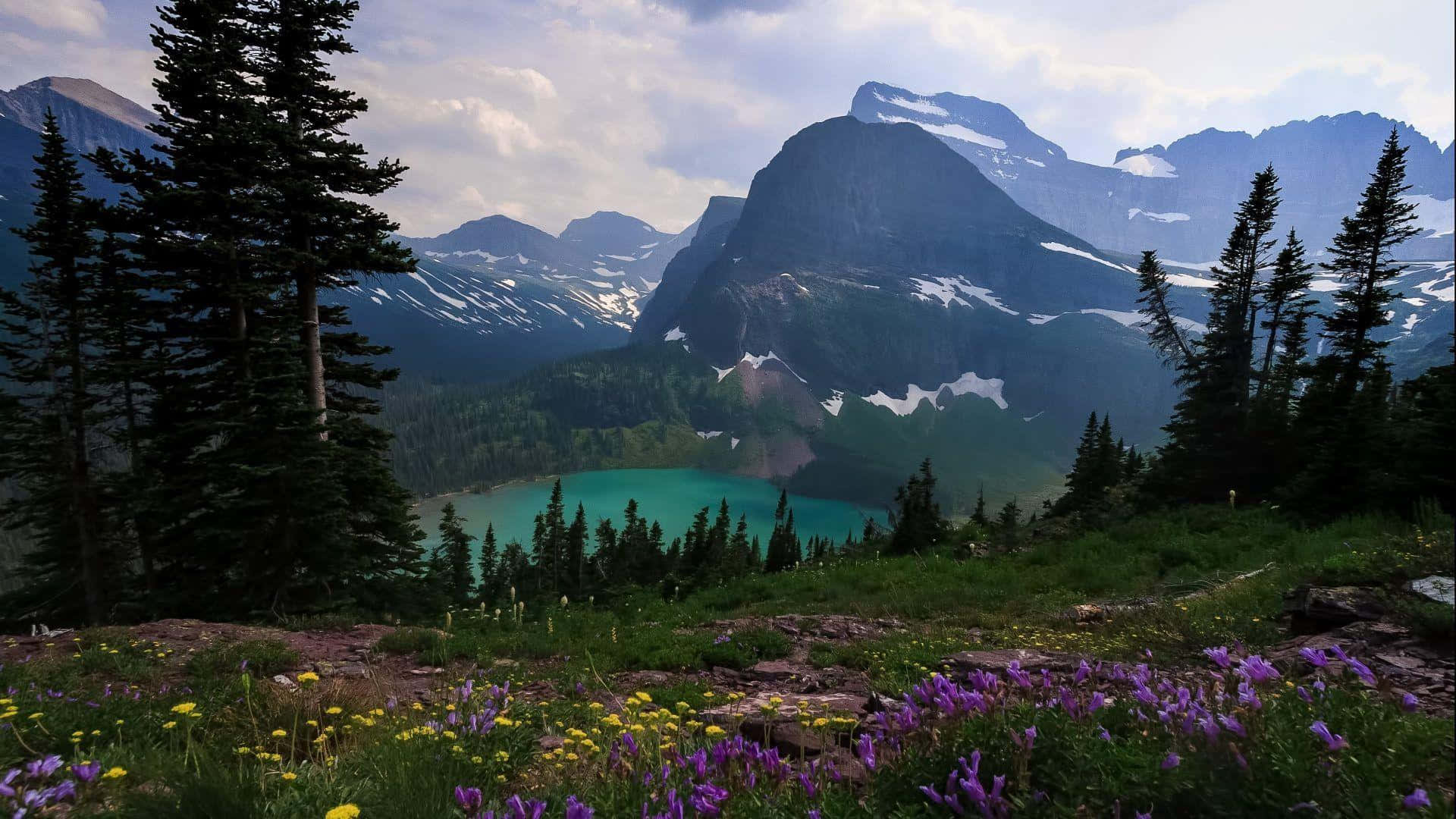 Maestosopaesaggio Del Montana Con Le Catene Montuose E Distese Di Verde Erboso Vibrante