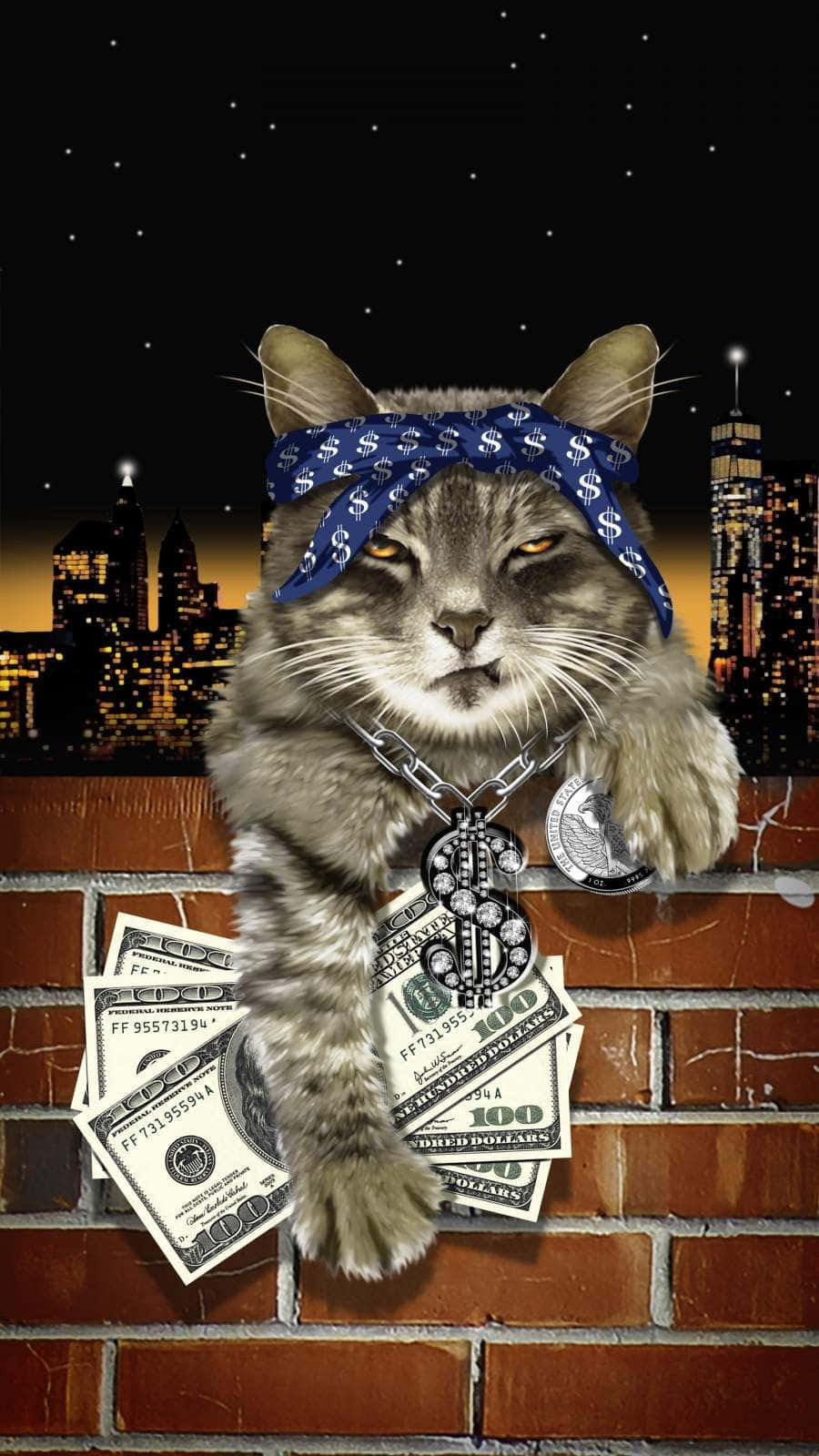 Mafia Boss Cat Wallpaper