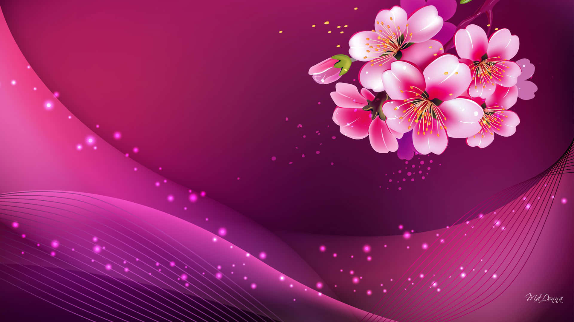 Stand Out Confidently With a Vibrant Magenta Background