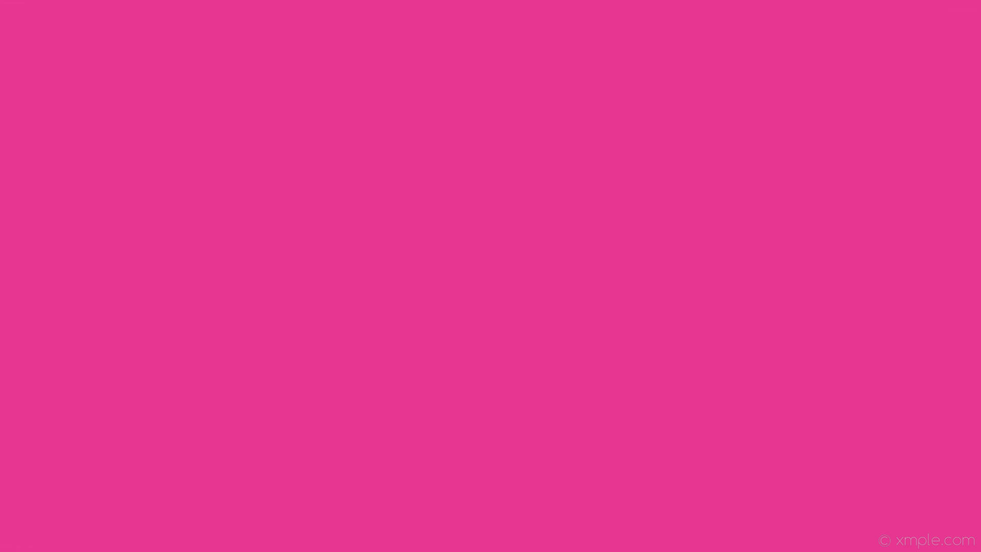 Magenta Pink Almindelig Farve Wallpaper