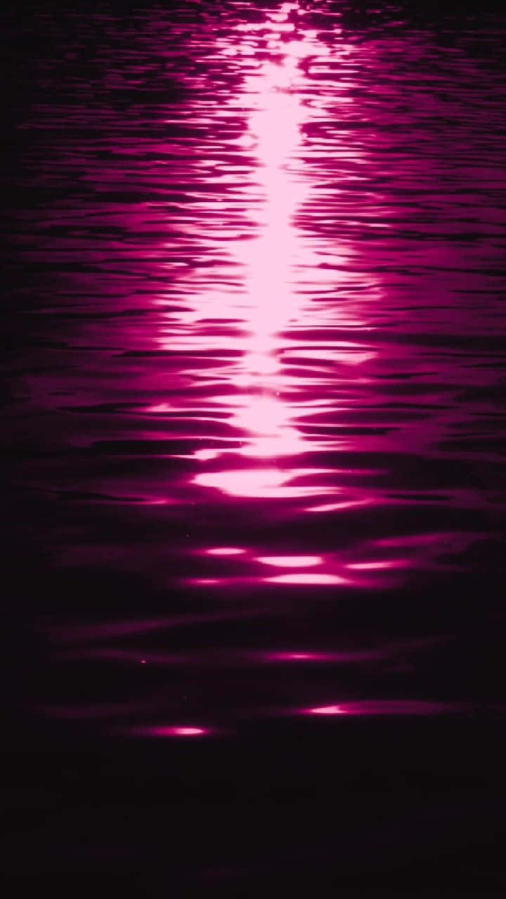 Magenta Water Reflections.jpg Wallpaper