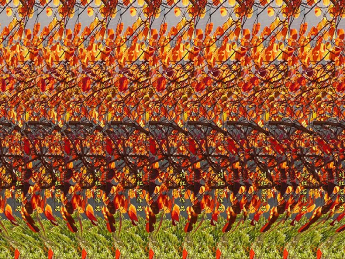 Efteråret blade magi øje 3D Stereogram billede