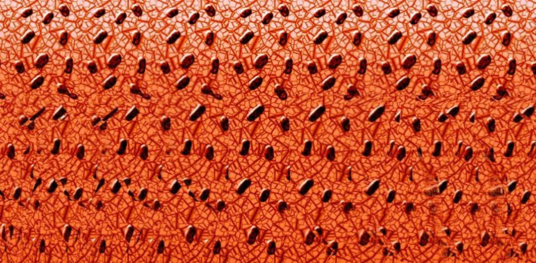 Orange Magisk Øje 3D Stereogram Picture