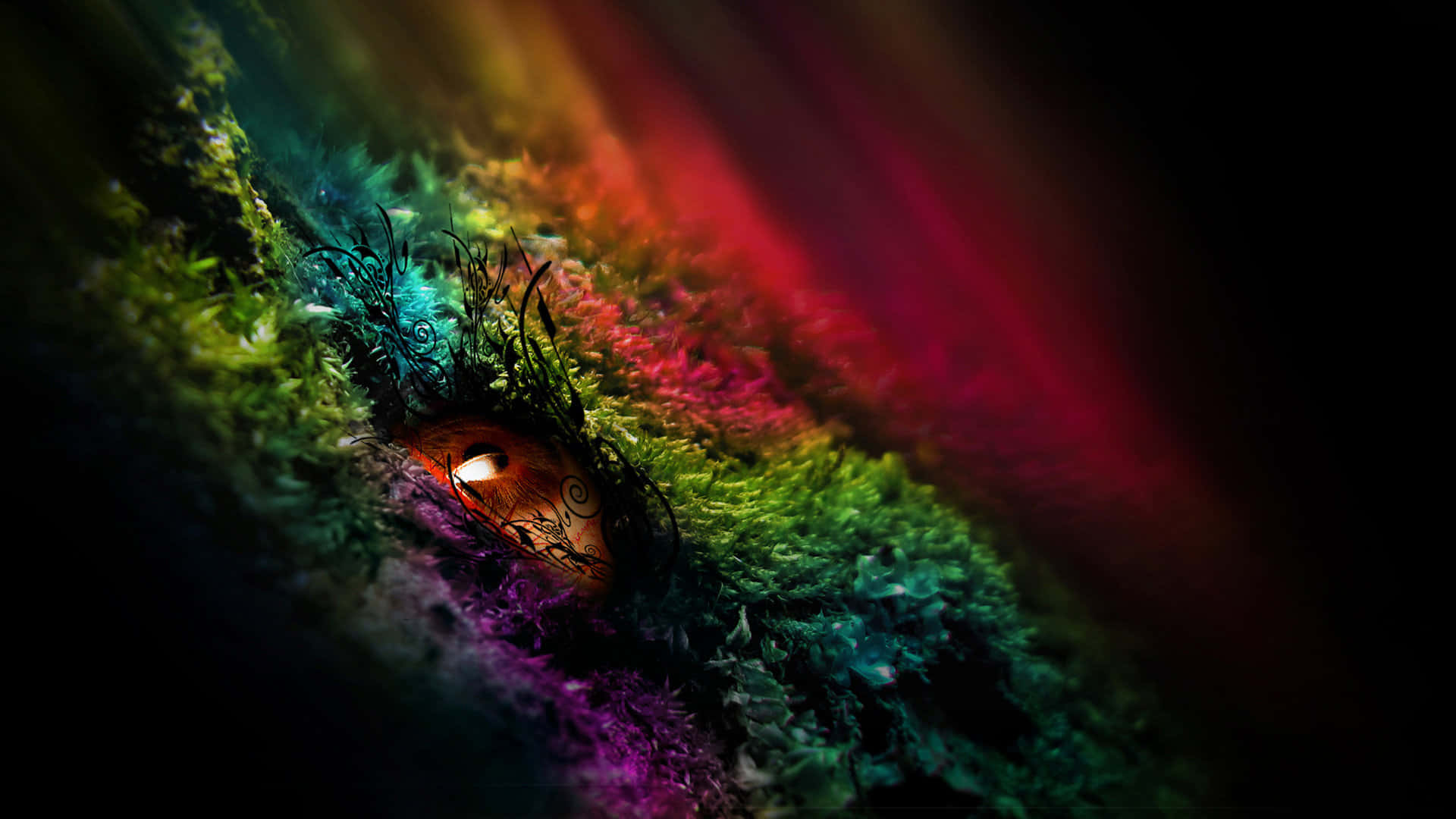 A Colorful Eye In The Dark Wallpaper