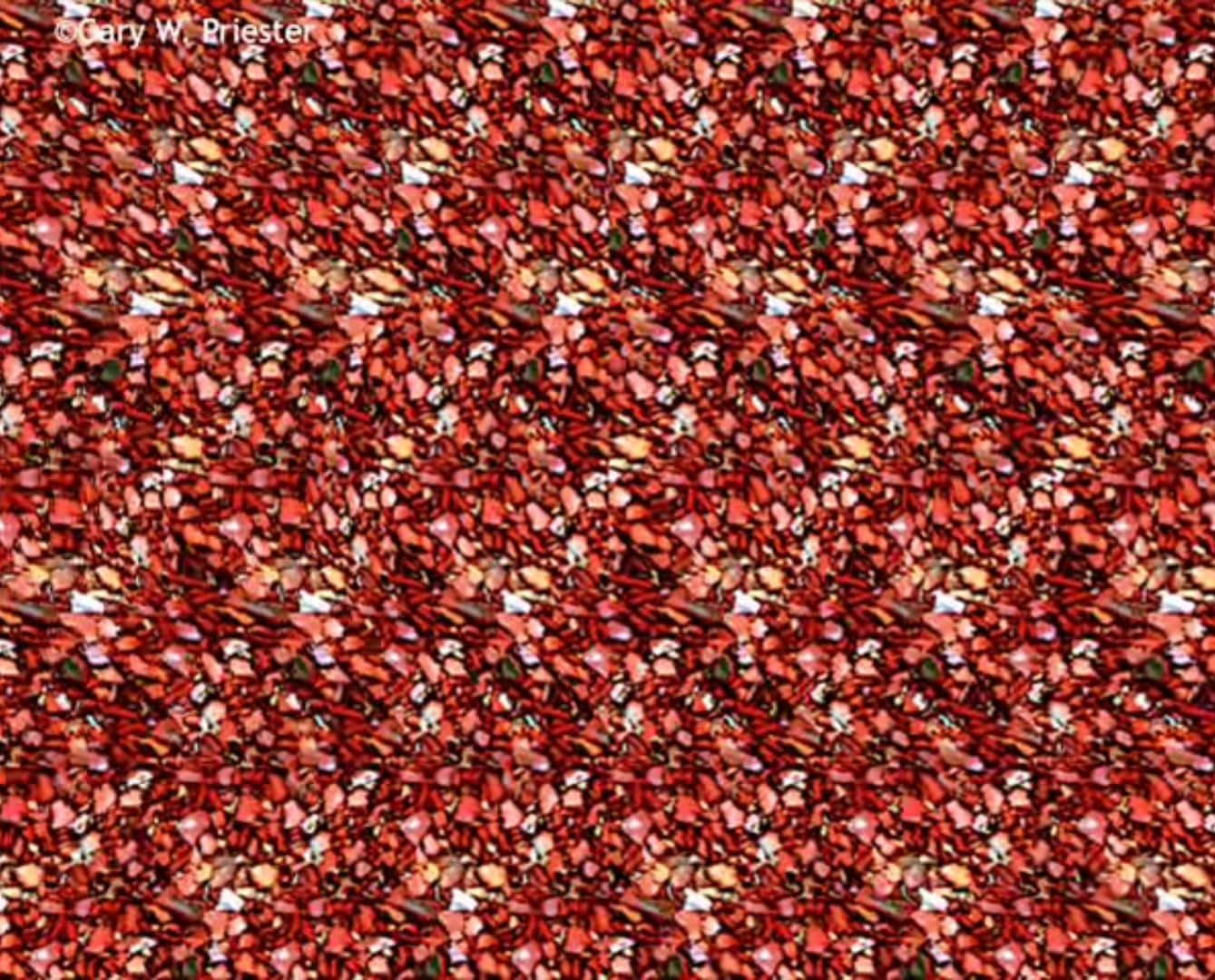 A Red And White Pattern With Pomegranate Seeds Wallpaper