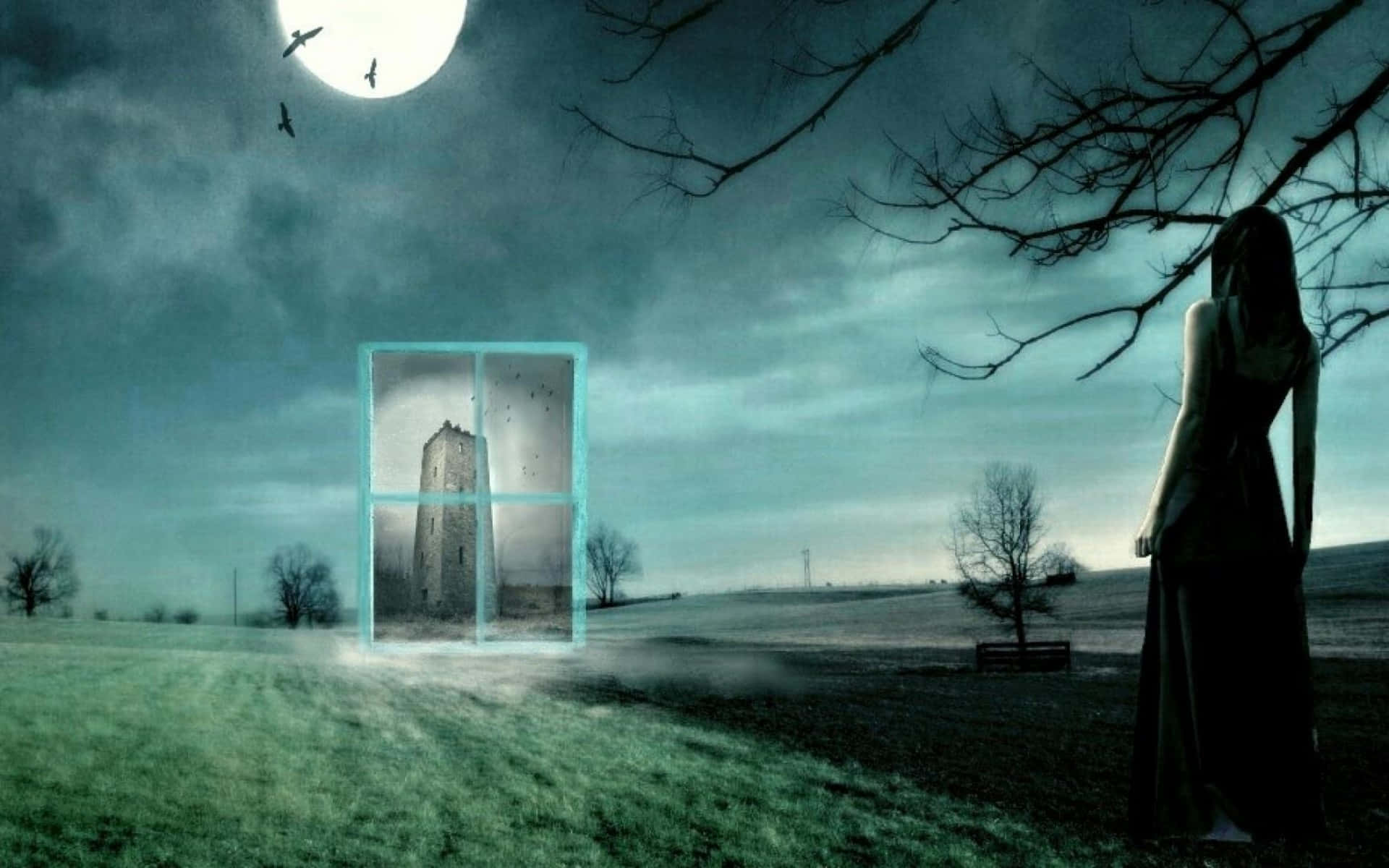 Image  “Admiring the Beautiful Magic Moon in the Night Sky.” Wallpaper
