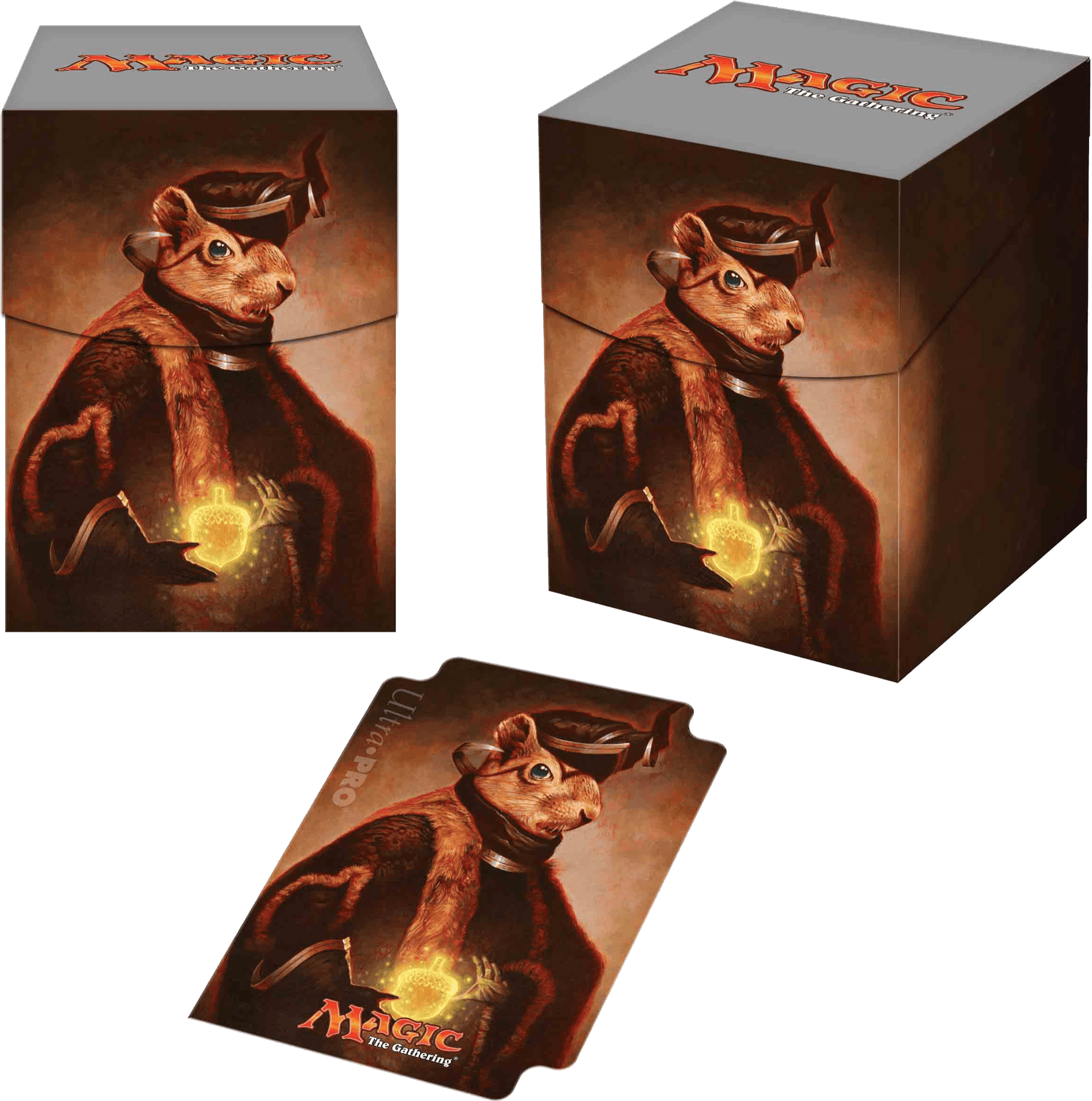 Magic The Gathering Squirrel Wizard Deck Box PNG