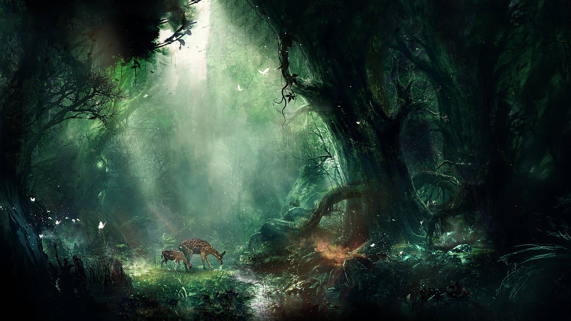 Magical And Creative Forest Background