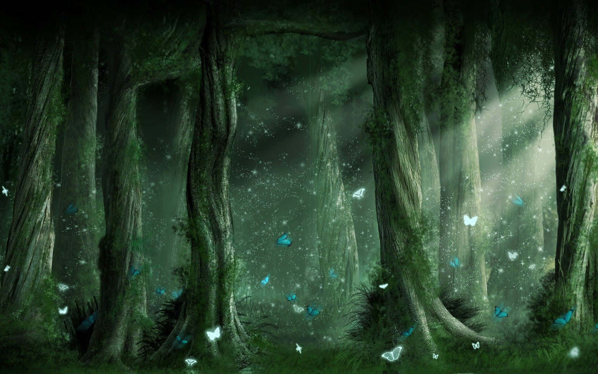 Magical Background Forest Butterflies