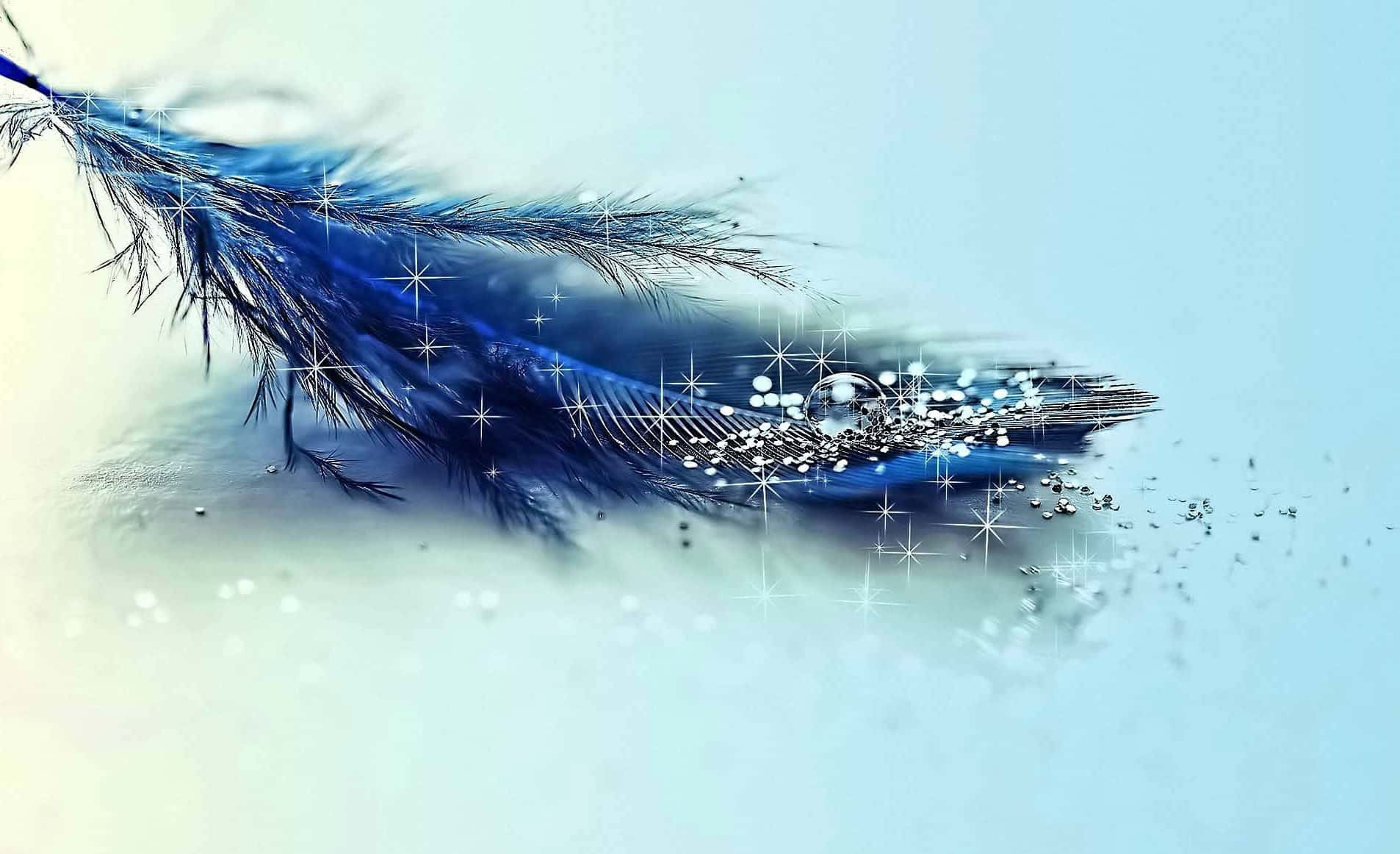 Magical Background Blue Feather