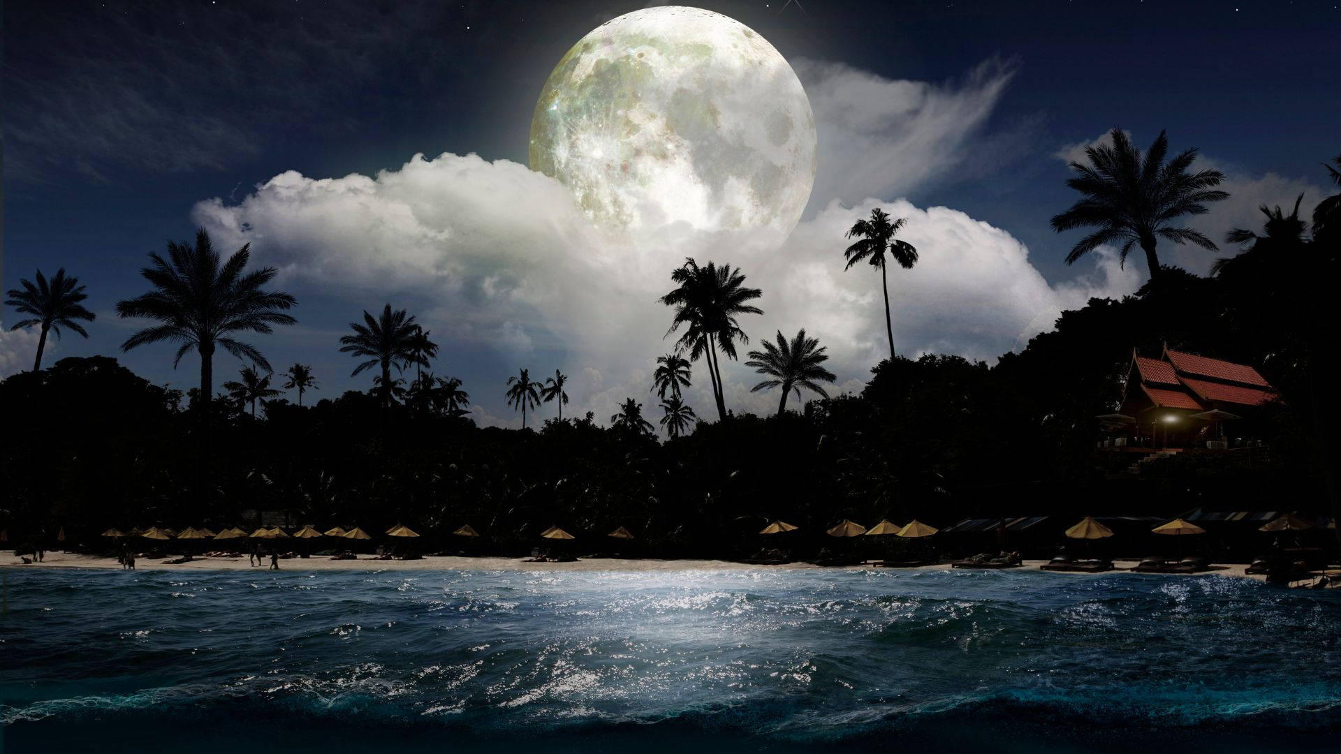 Magical Beach Night View Wallpaper