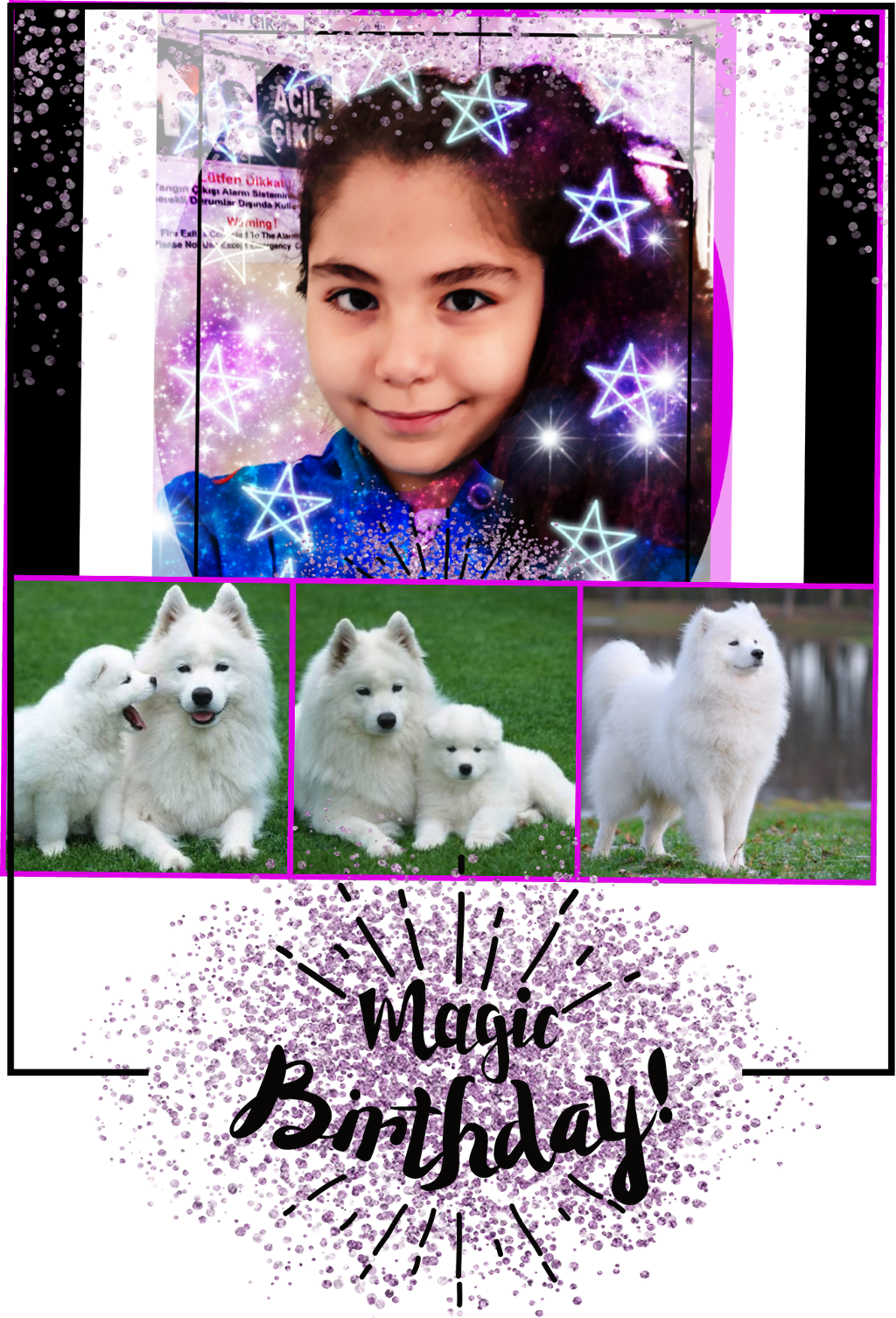 Magical Birthday Celebrationwith Samoyeds PNG