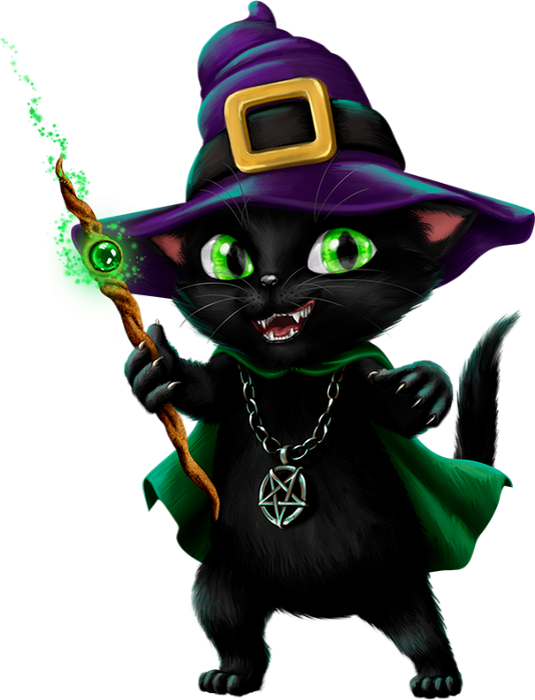 Magical Black Cat Wizard PNG