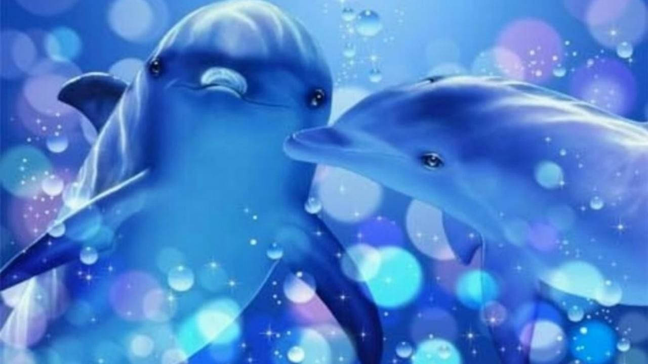 Magical Dolphin Kiss Wallpaper
