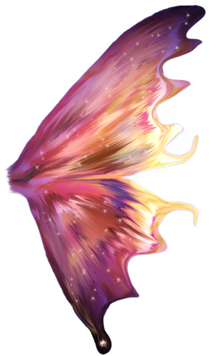 Magical Fairy Wing Illustration PNG