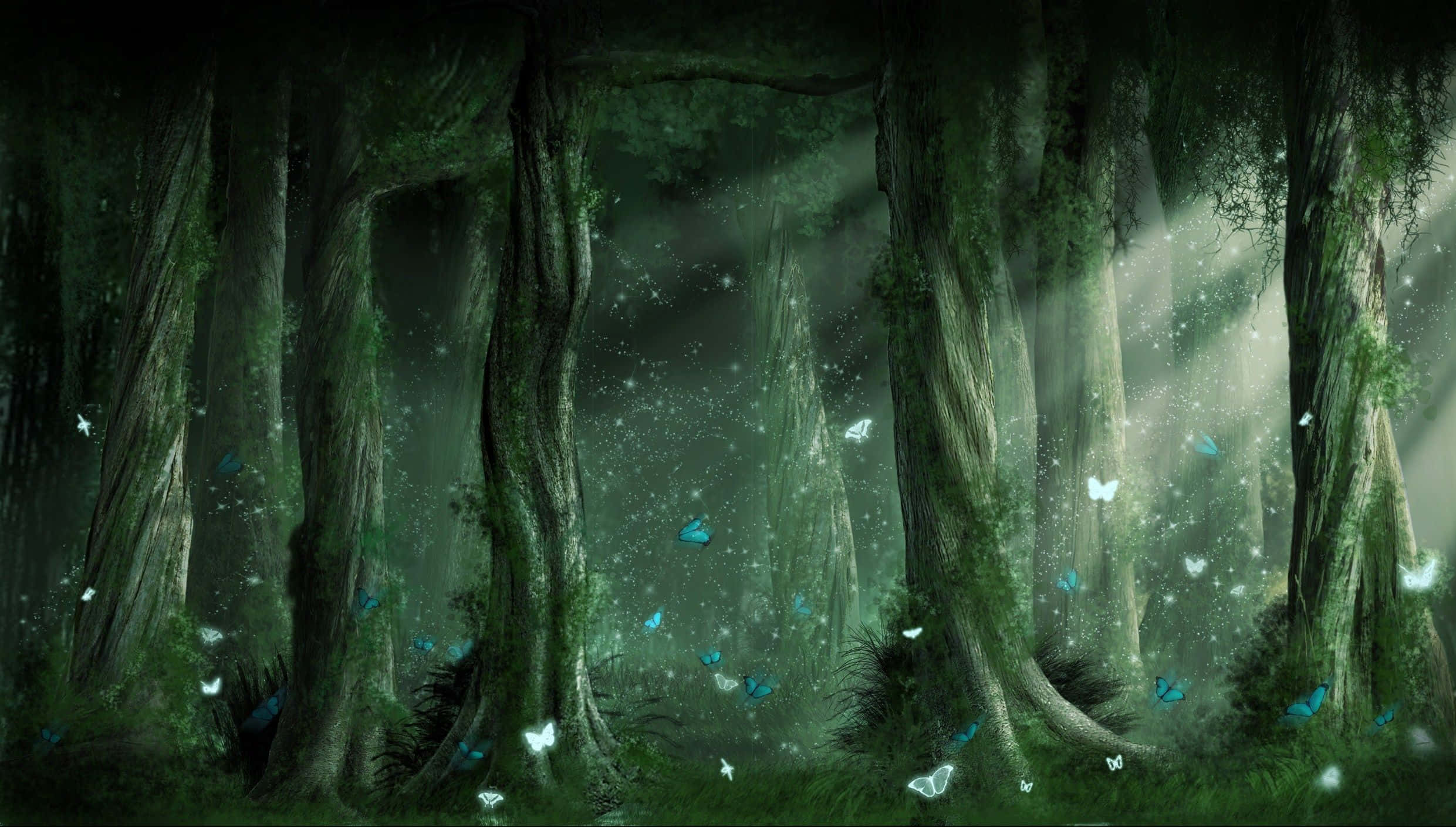 "Welcome to the Magical Forest, Where Anything is Possible"