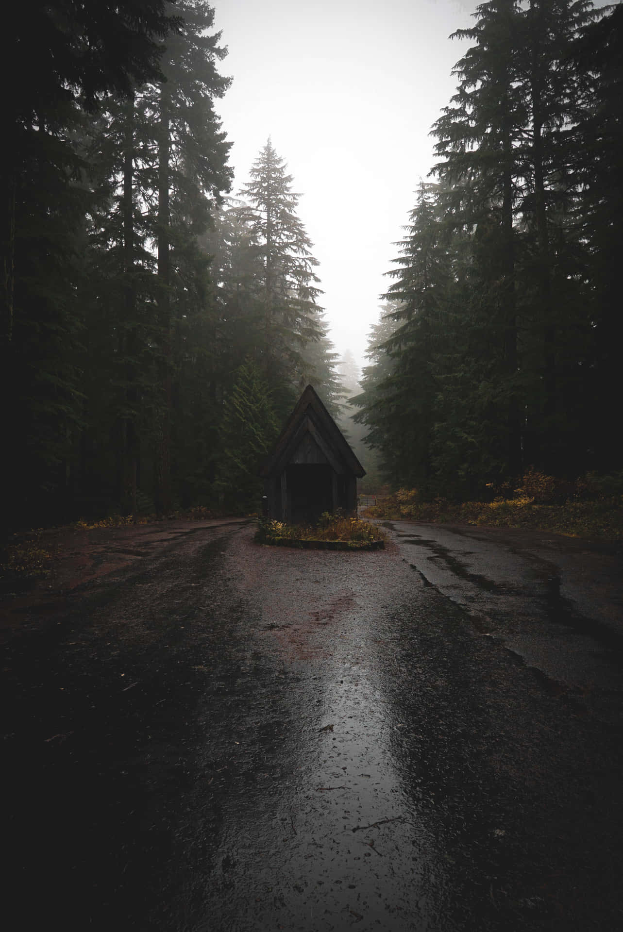 A Small Cabin In The Forest Wallpaper