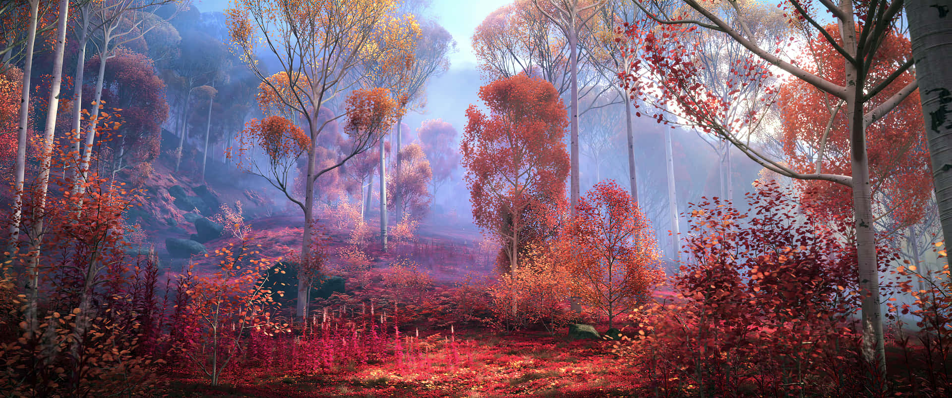 Autumn Season Magical Forest Wallpaper