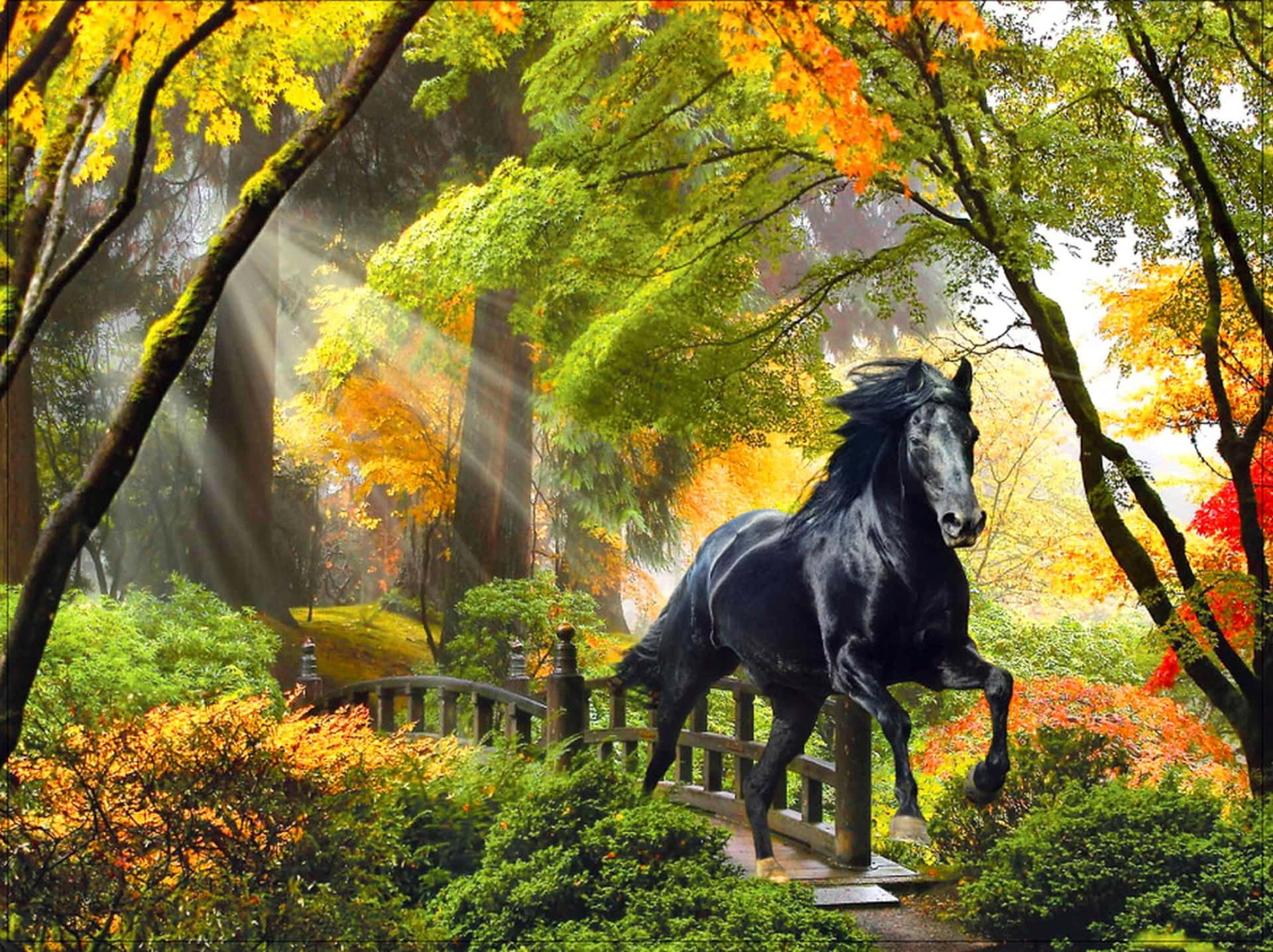 Magical Forest Autumn Dark Horse Wallpaper