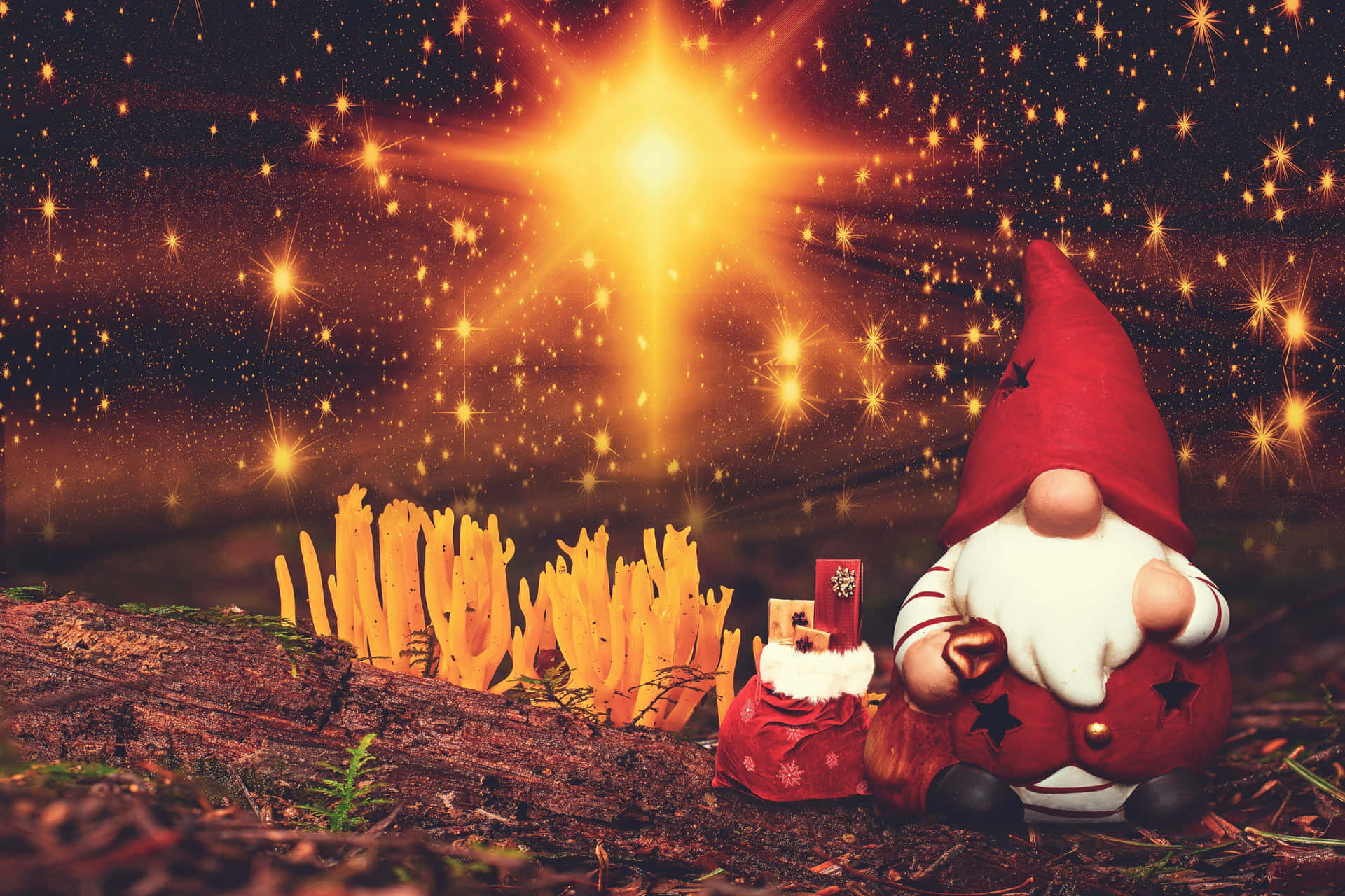 Magical Gnome Starry Night Wallpaper