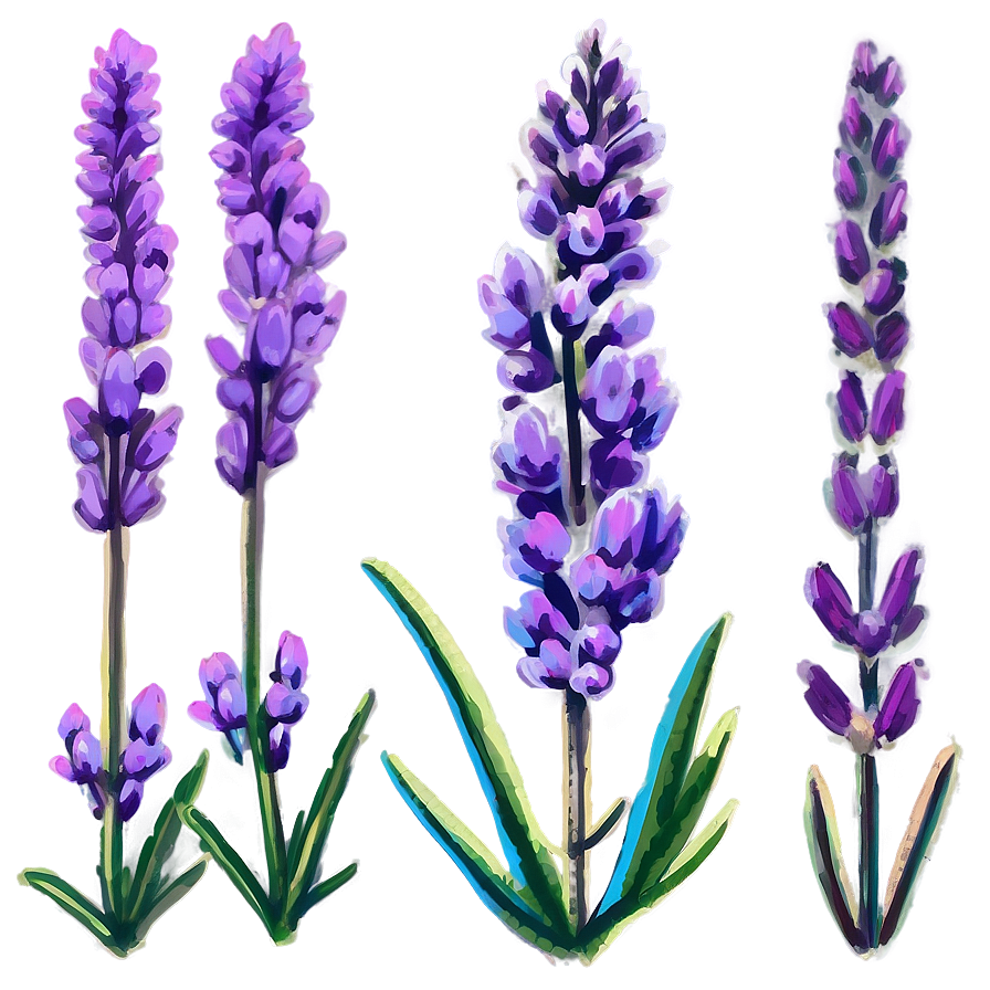 Magical Heather Png Ltf59 PNG