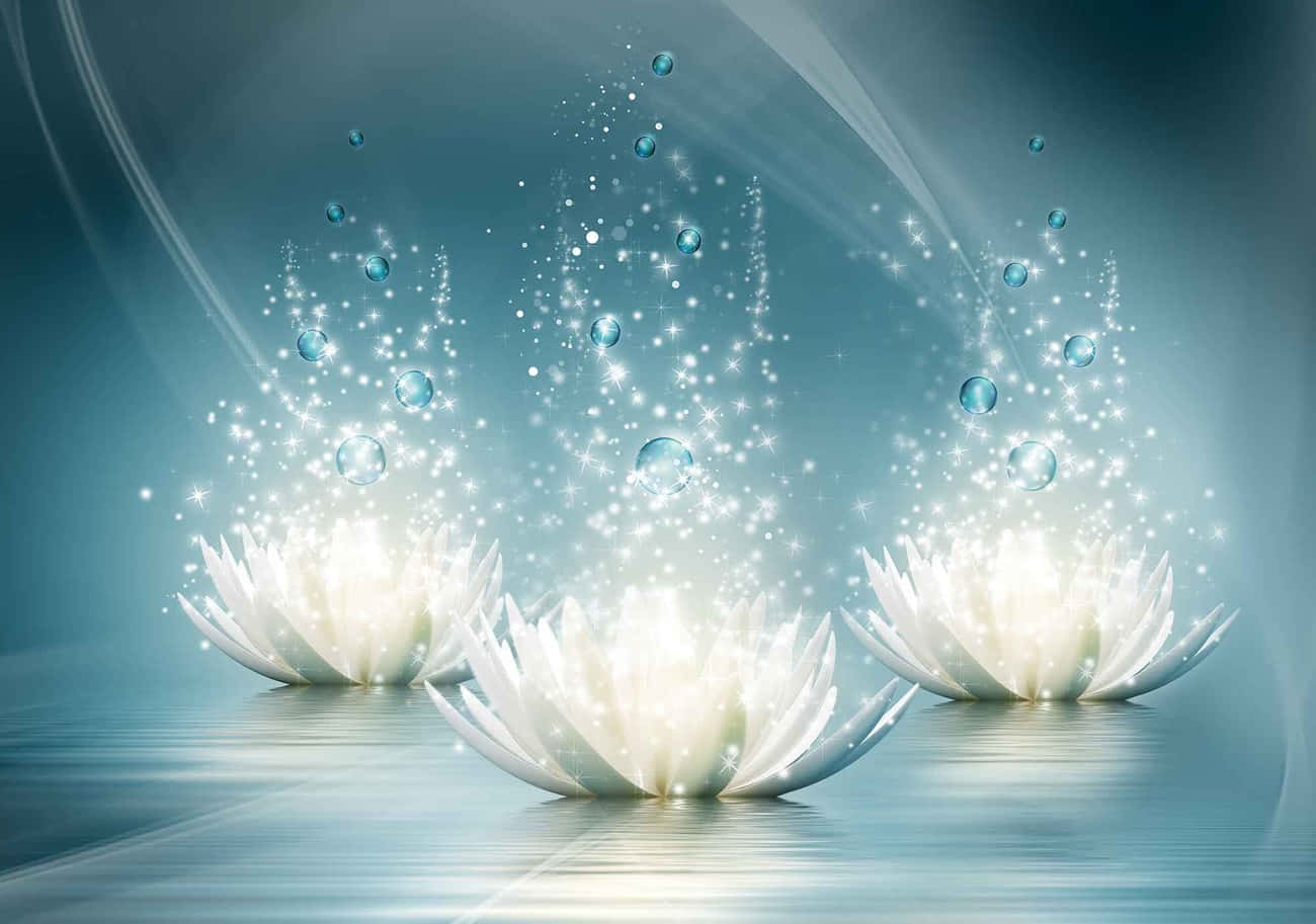 Magical_ Lotus_ Flowers_ Glowing Wallpaper