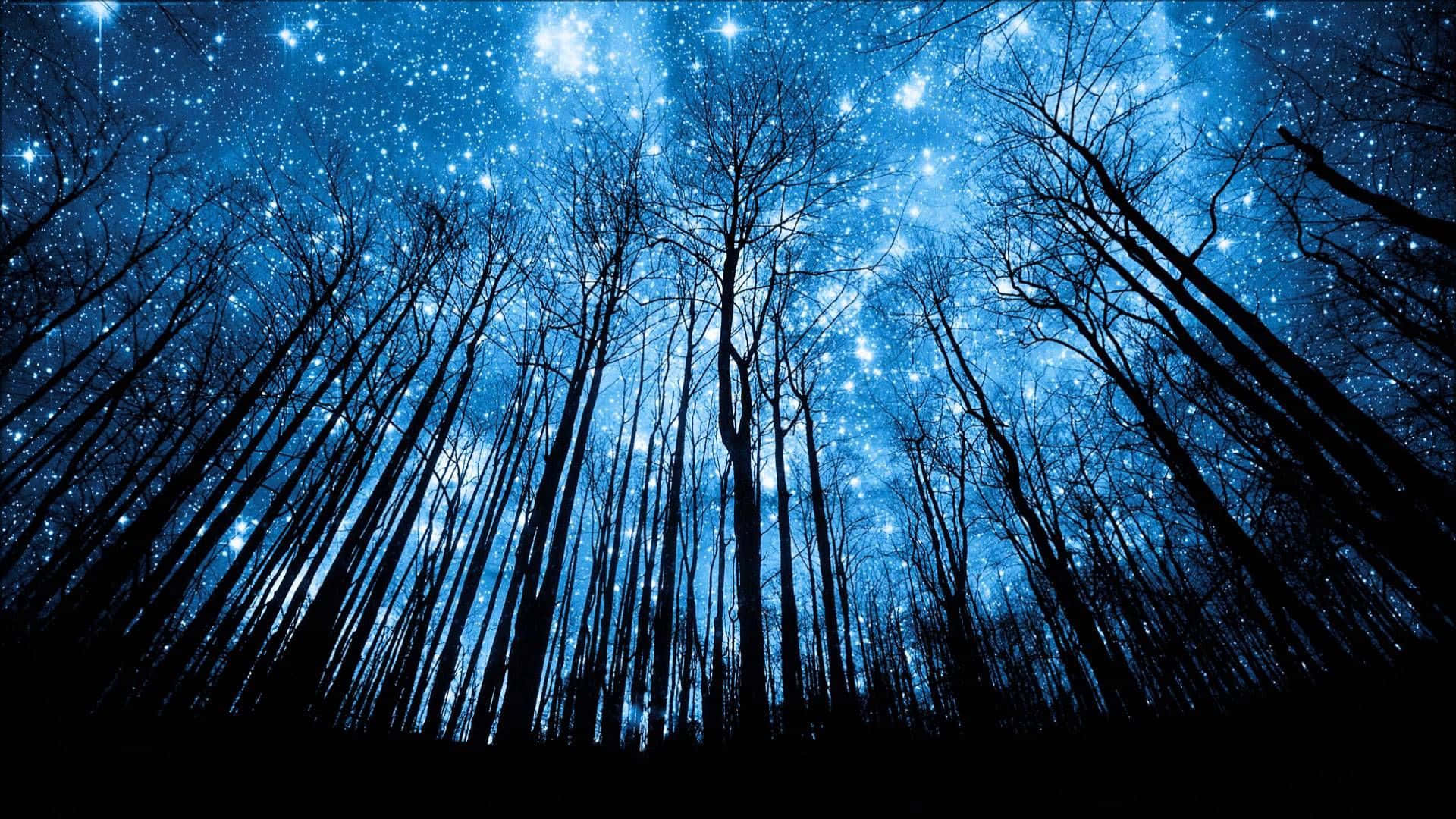 Magical Night Sky With Stars Glowing On Forest Wallpaper