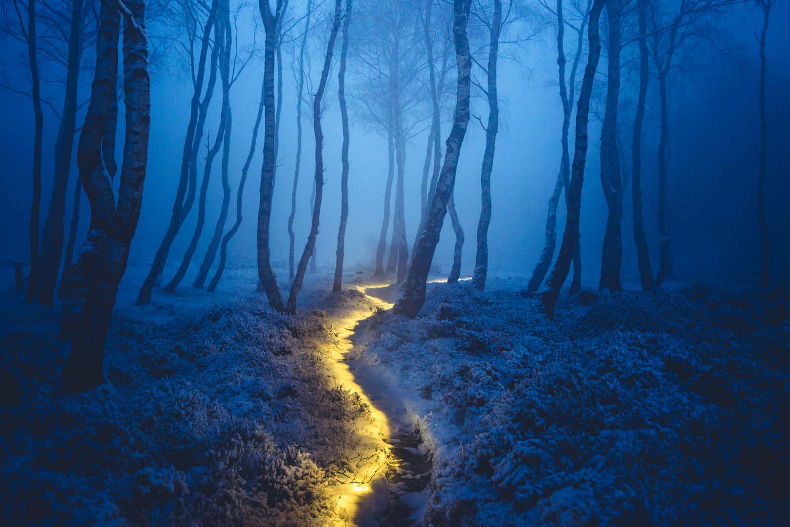 a path in the snow with a light shining through it