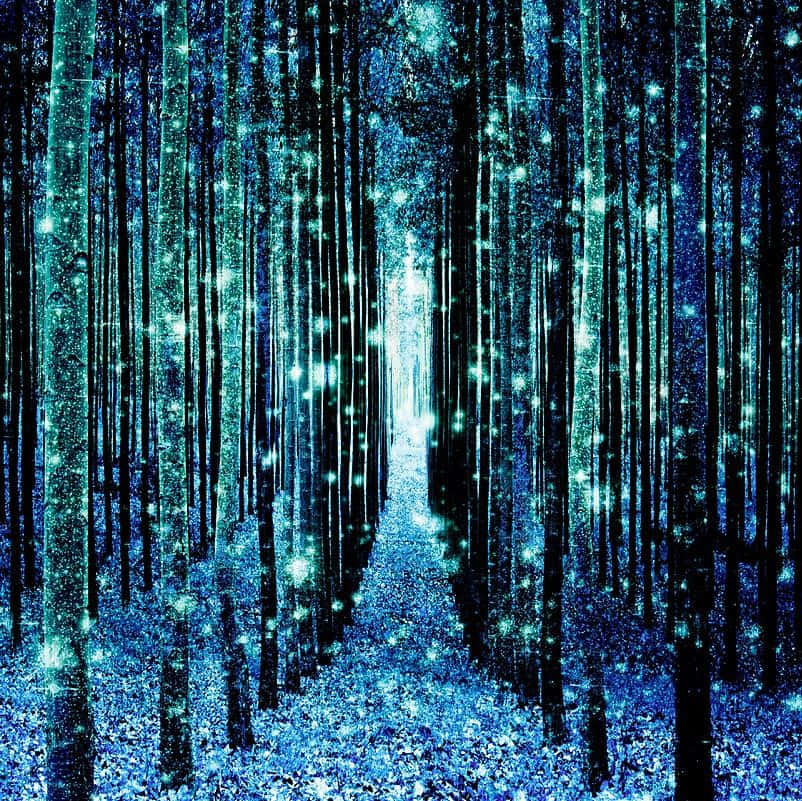 a blue forest with stars shining in the trees