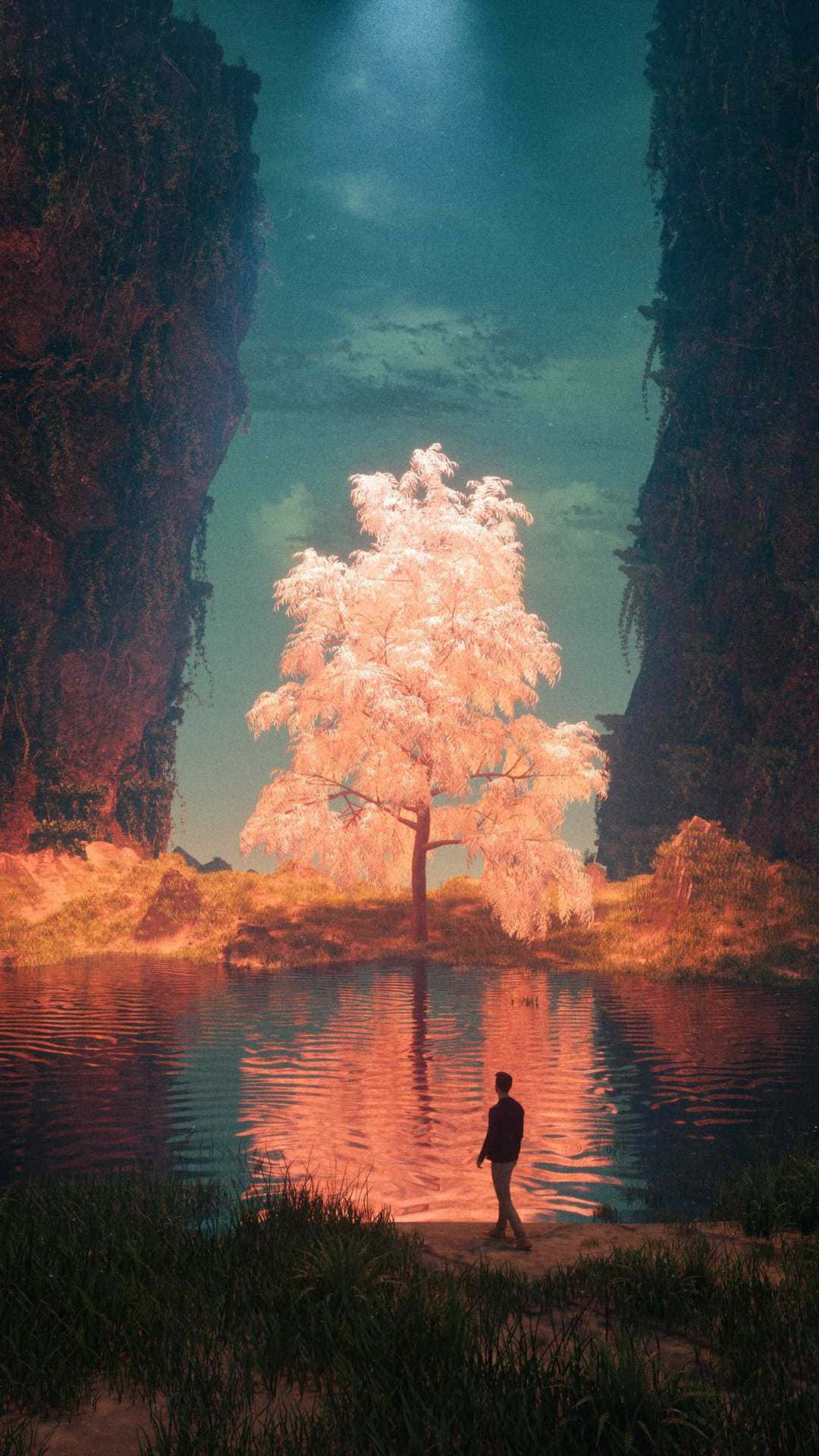 Magical Tree Surrounded By Serene Water Wallpaper