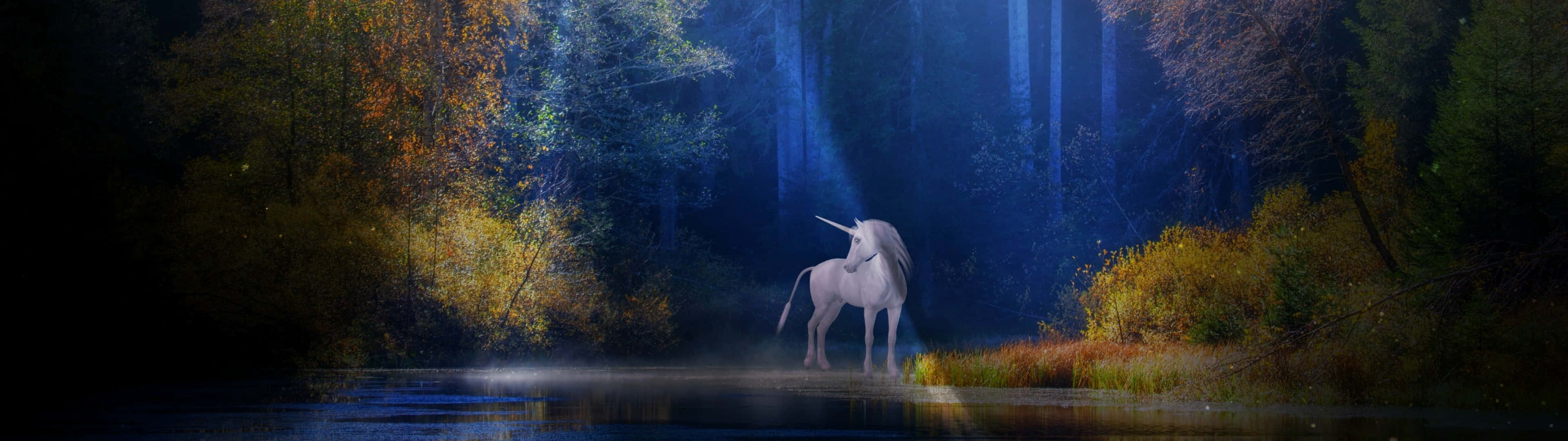 Føl magien med denne mystiske unicorn tapet! Wallpaper