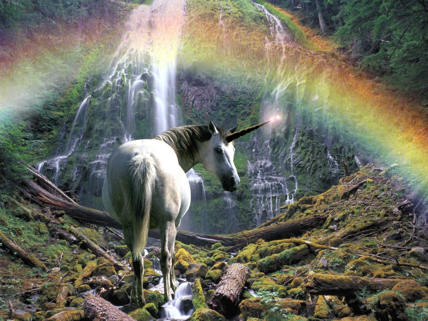 Magical Unicorn Shining Horn Rainbow Wallpaper