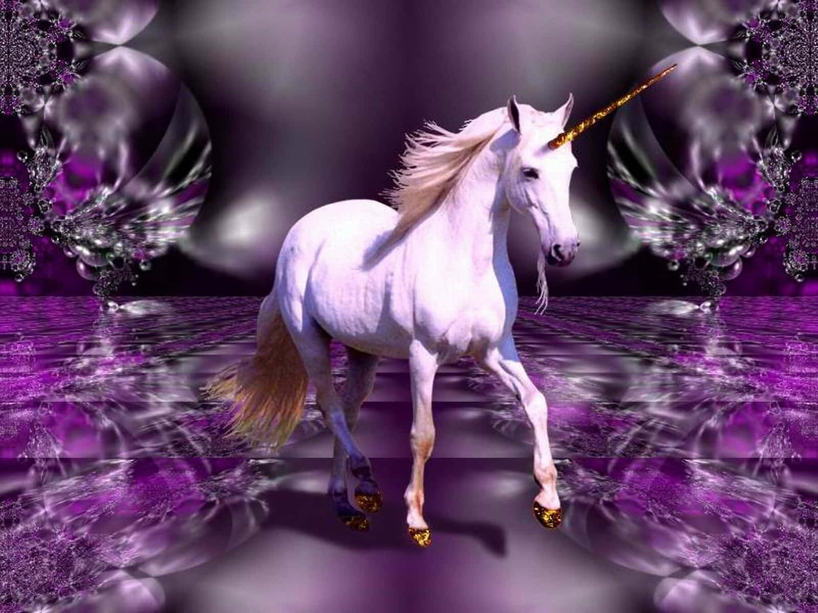 Træd ind i et Magisk Univers med denne Fortryllende Unicorne og Undersøg Miraklerne i Fantasi! Wallpaper