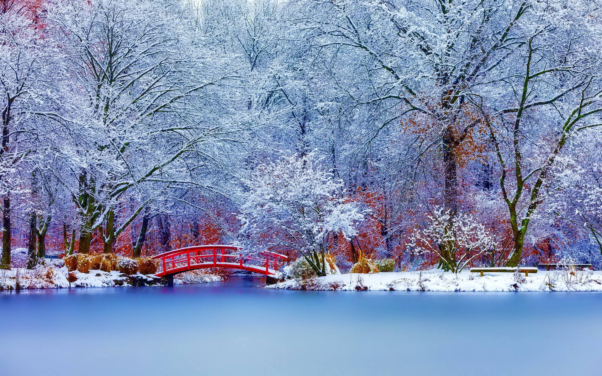 Magical Winter Park
