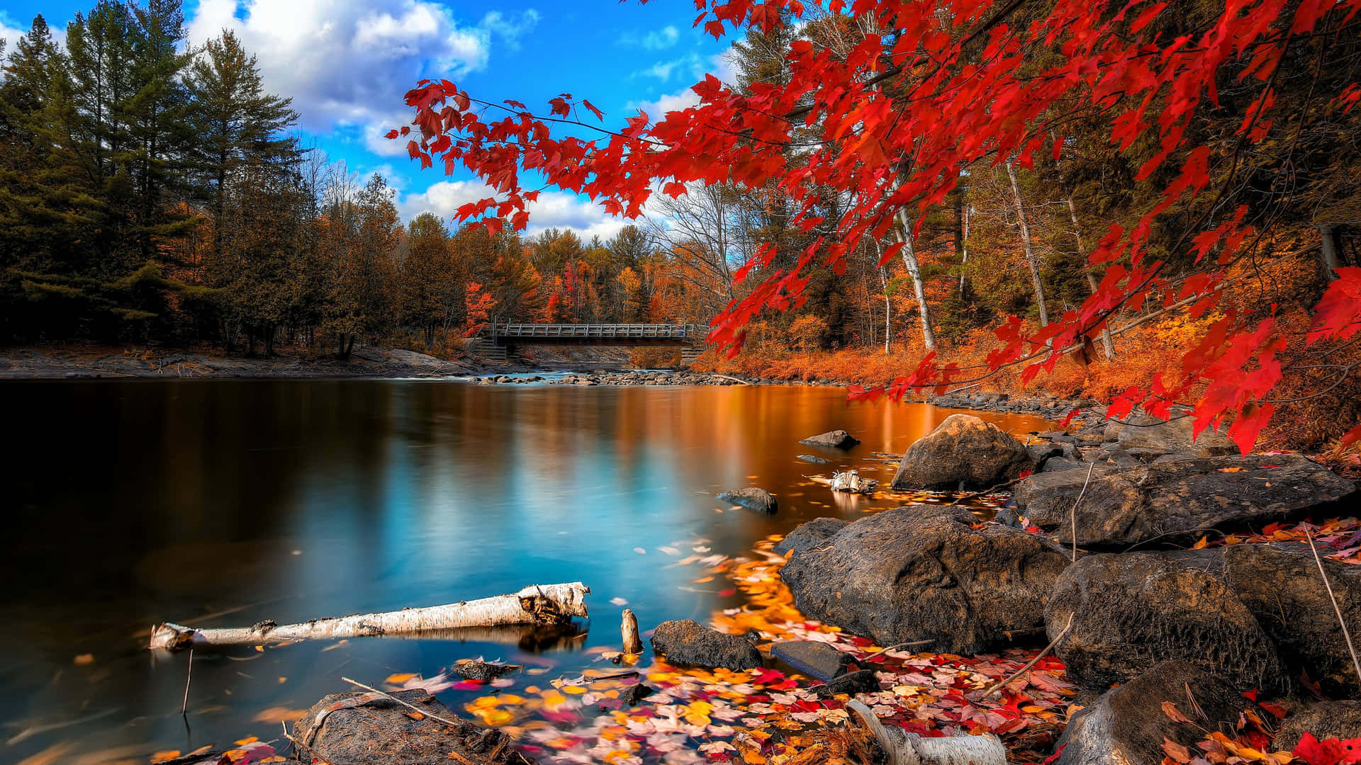 Magnificent Autumn Lake View Wallpaper
