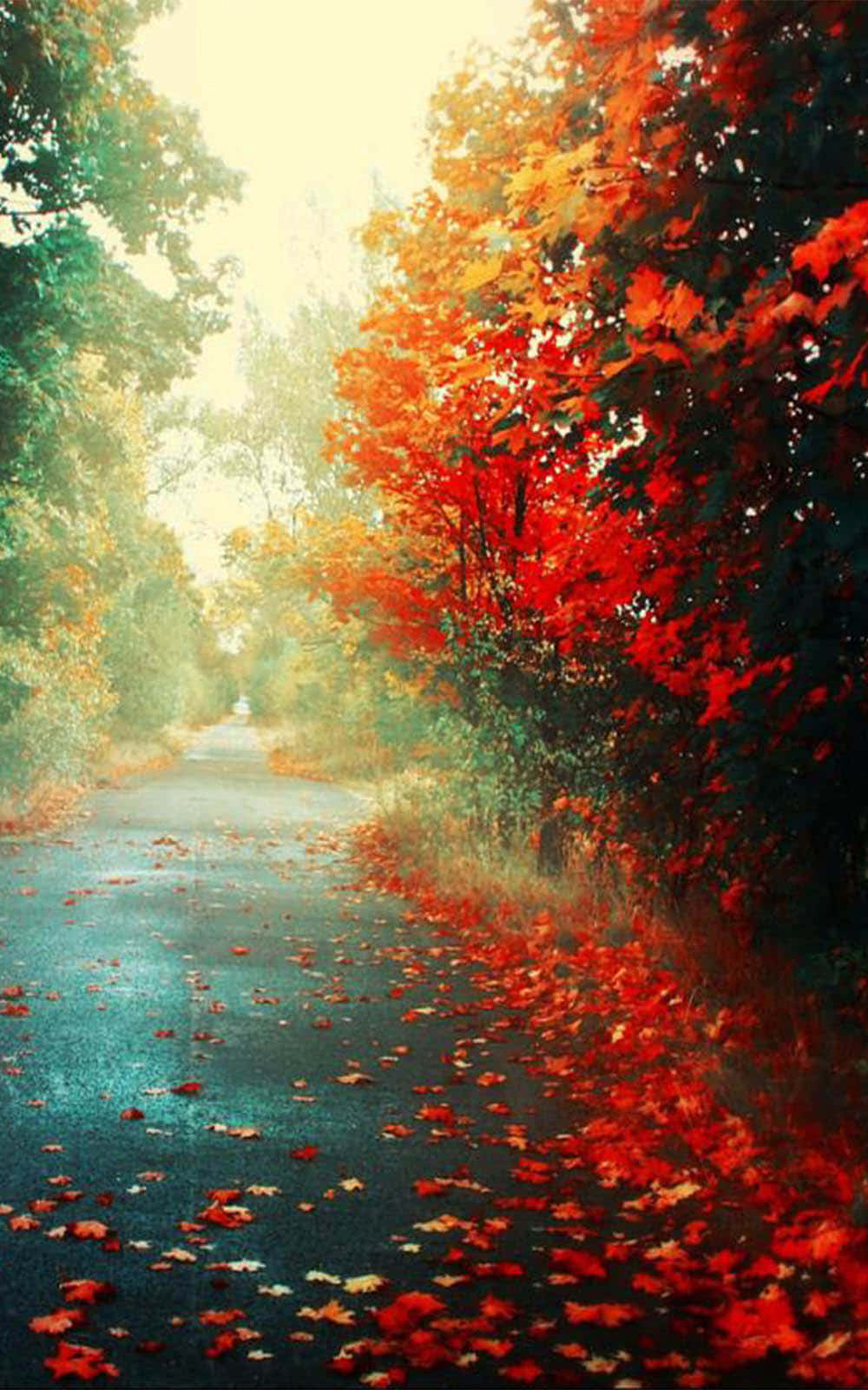 Magnificent Autumn Leaves Wallpaper