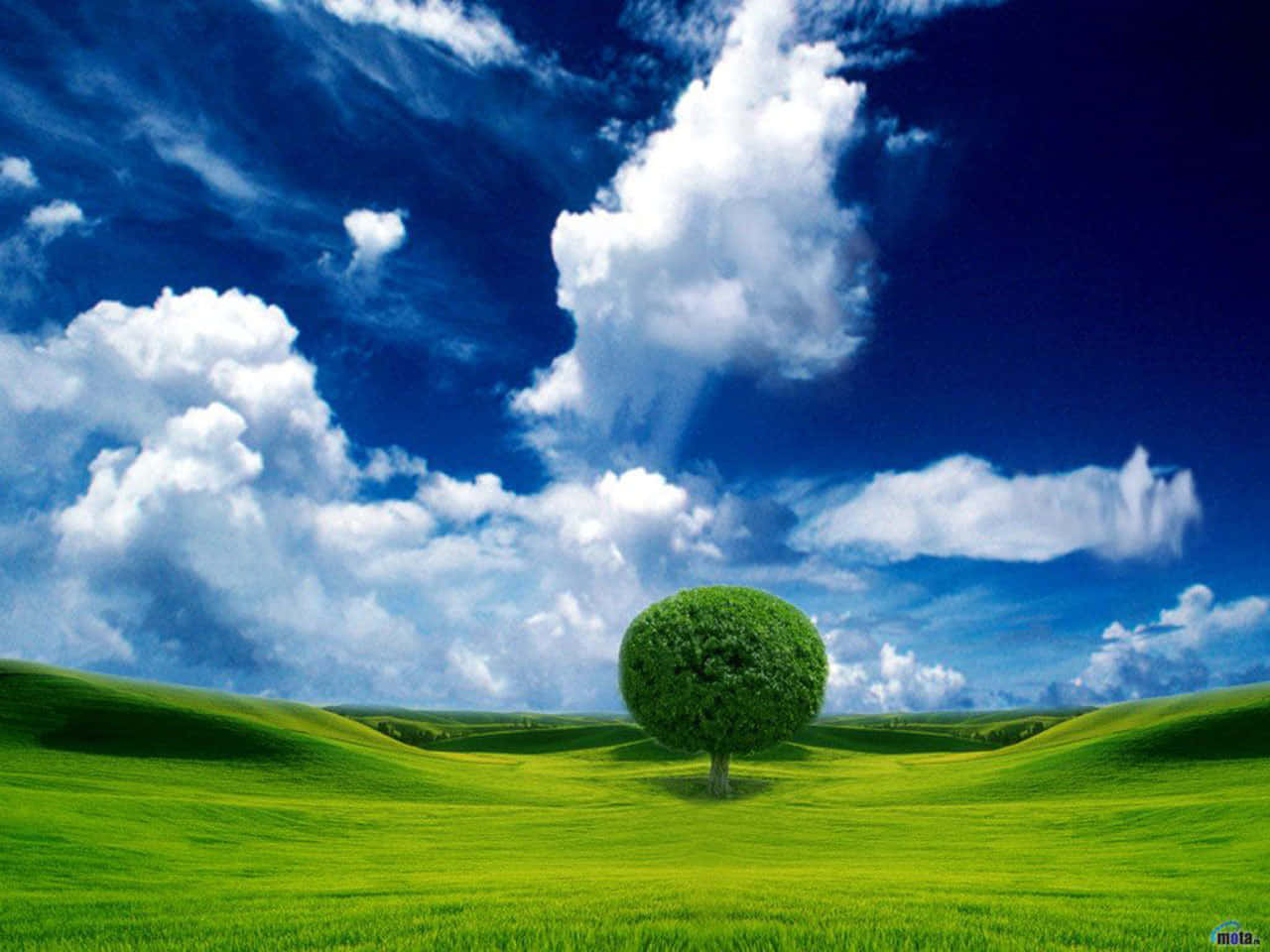 Magnificent Landscape With Round Tree Wallpaper