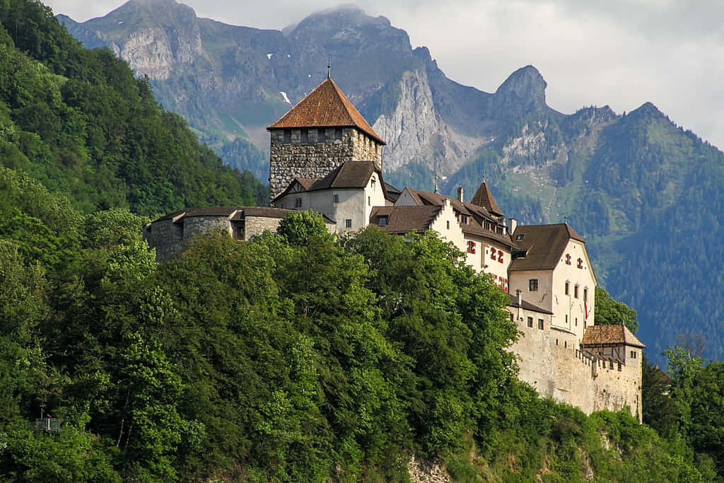 Magnificent Vaduz Castle Overlooking The Picturesque City Wallpaper